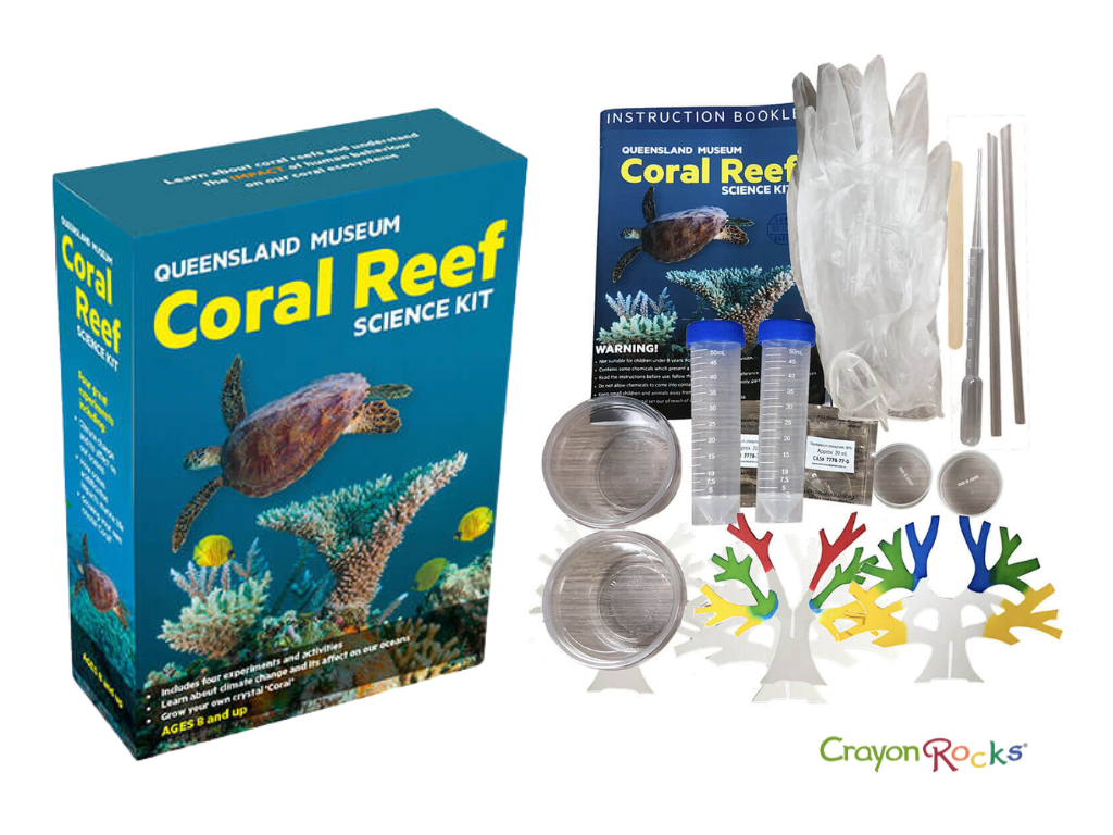 Educational Box Set, Build Your Own Coral Reef Kit
